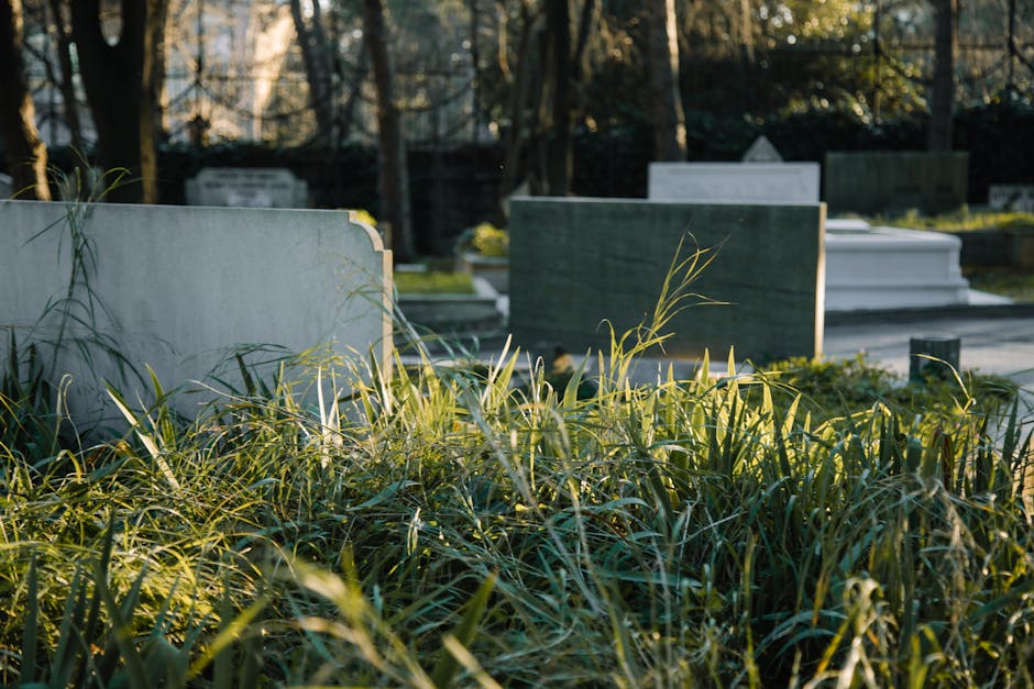 The image depicts several gravestones in a cemetery, with the closest headstone made of light grey stone featuring a smooth surface and subtle rounded edges, partially obscured by dense, untrimmed gra
